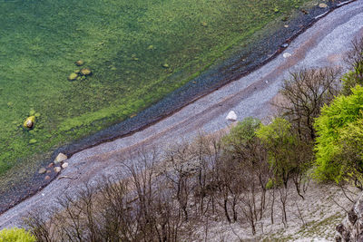 High angle view of grassy field