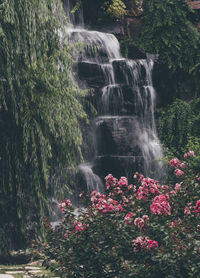 Scenic view of waterfall in forest