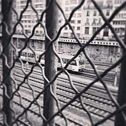 Close-up of chainlink fence