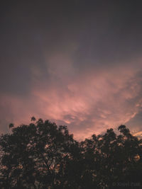 Low angle view of silhouette trees against sky during sunset