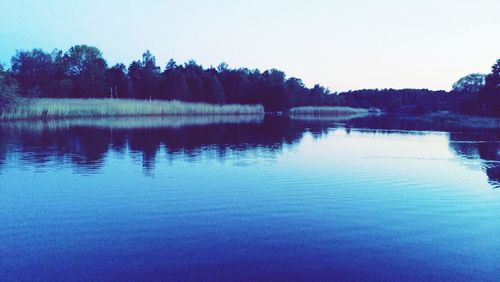 Reflection of trees in calm lake