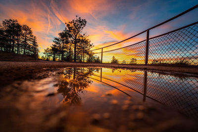 Reflection of trees on water against orange sky