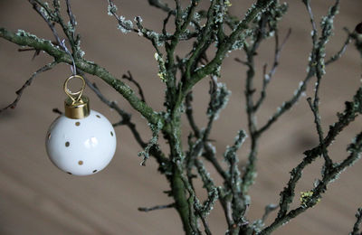 Close-up of christmas decoration hanging on tree