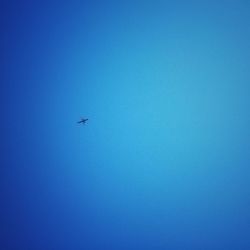 Low angle view of airplane flying in clear blue sky