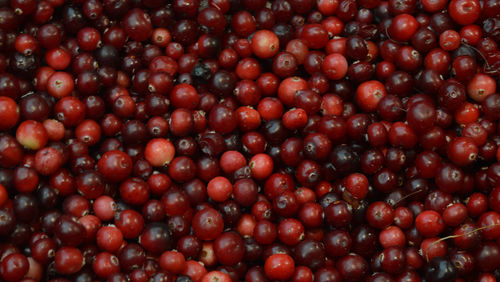 Full frame shot of cherries