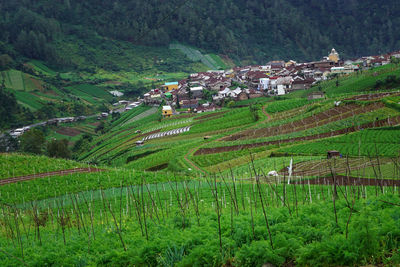 Scenic view of village with houses