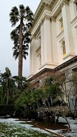 Low angle view of palm trees against sky