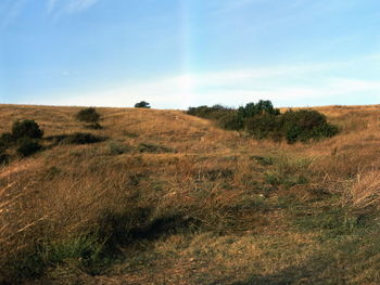 Scenic view of land against sky