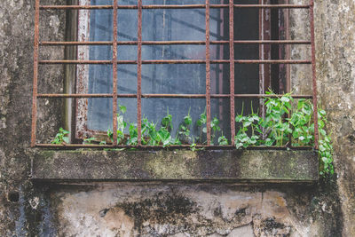 Close-up of old window