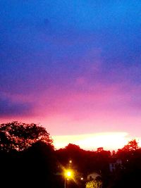 Low angle view of trees against sky at sunset