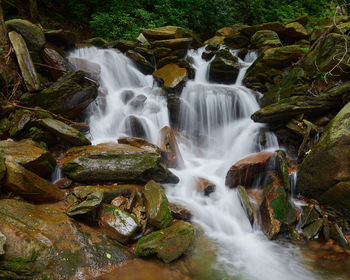 View of waterfall in forest