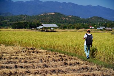 Rear view of man on field