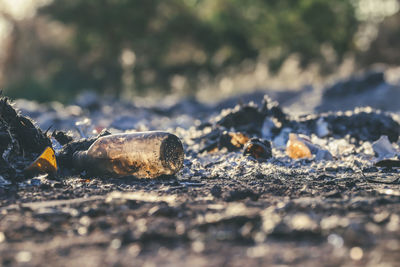 Close-up of cigarette on land