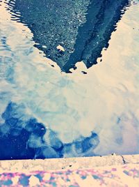 Reflection of trees in water