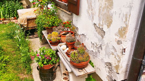 High angle view of potted plants in yard