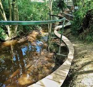High angle view of footbridge in forest