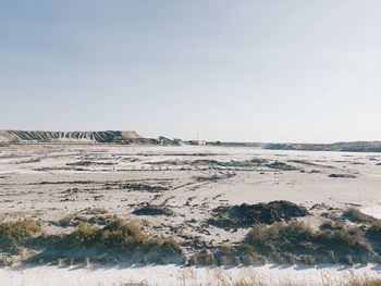 Scenic view of beach against clear sky