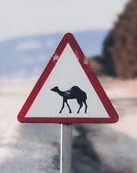 Close-up of camel road sign against sky