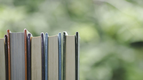 Close-up of books