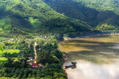 High angle view of river amidst trees in forest