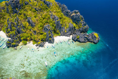 High angle view of coral in sea