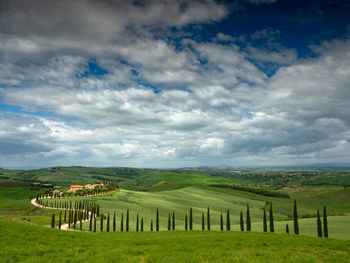 Scenic view of landscape against sky