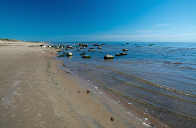 Flock of birds in sea against clear blue sky