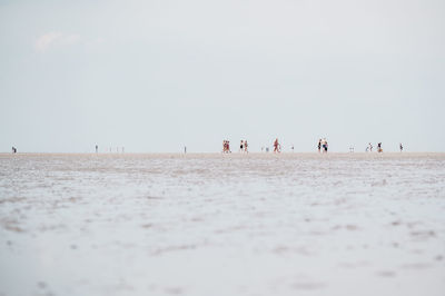 Scenic view of beach against clear sky