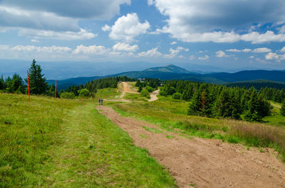 Scenic view of field against sky