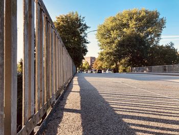 Empty road along trees and buildings