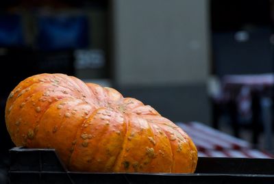 Close-up of pumpkin on barbecue grill