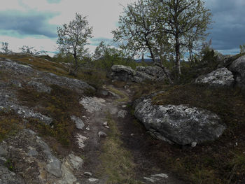 Scenic view of stream against sky