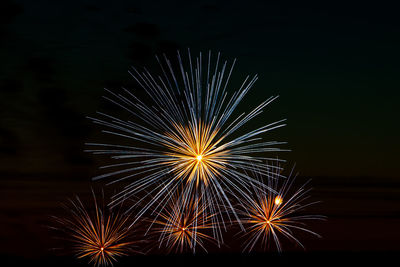 Low angle view of firework display against sky at night