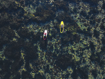 Aerial view of sup surfers, primorsky region, russia