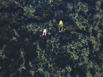 High angle view of people on rock by sea