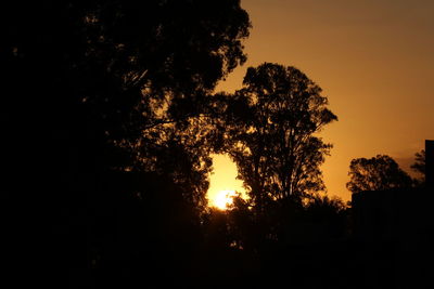 Silhouette trees against sky during sunset