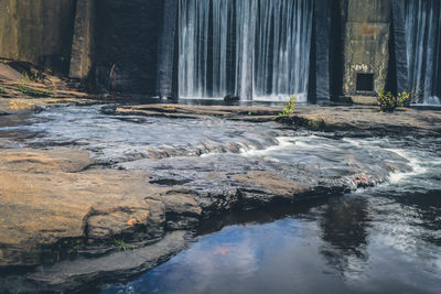Scenic view of waterfall in forest