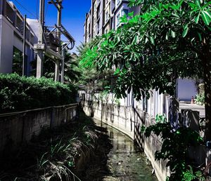 Canal amidst trees and buildings against sky