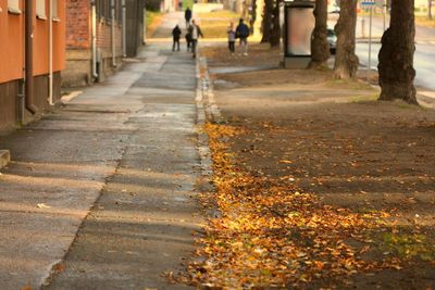 People walking on sidewalk in city during autumn