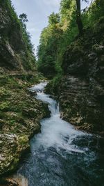 Scenic view of waterfall in forest