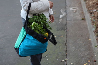 Midsection of person holding bag with vegetables while standing on road