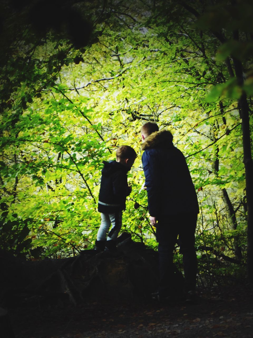 REAR VIEW OF MAN STANDING BY TREES