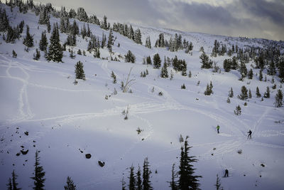 Scenic view of tree mountains against sky during winter