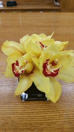 Close-up of yellow flowers