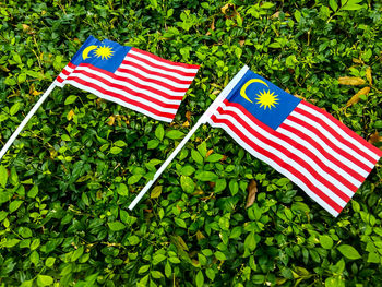 Close-up of flags against trees