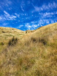 Scenic view of landscape against blue sky