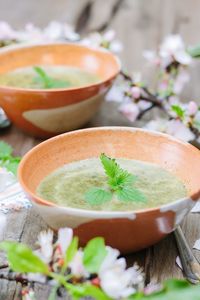 Close-up of food in bowl