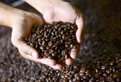 Close-up of hand holding coffee beans