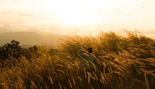 Rear view of young woman standing amidst grass during sunset