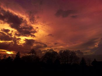 Silhouette of trees at sunset